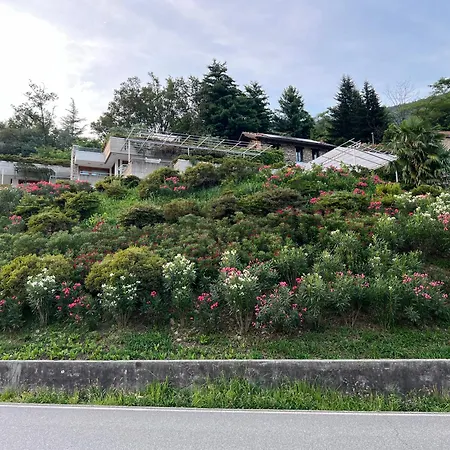 Mergozzo Beach アパート *